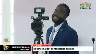 DOMINICA DEBATE: MPs of all side vote for electoral reform bills, even while some protests outside.