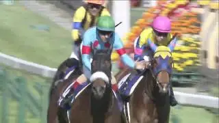 2020 Victoria Mile (G1)