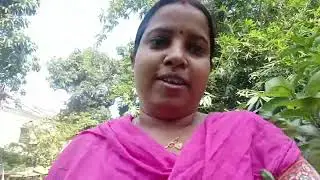 বাগানের পালং শাক দিয়ে মাছের ঝোল ..... বাগানের গাছগুলি দারুন সুন্দর হয়েছে। 