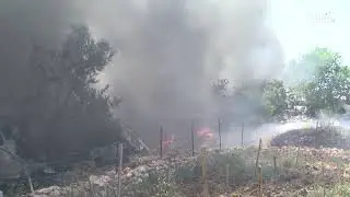 تغطية صحفية: 
