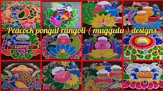 sankranthi muggulu 2026/Pongal rangoli designs 2026/bhogi kundala muggulu/Pongal kolam #rangoli