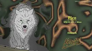 [FREE BEAT] Pico (Prod. By AkZeNT) | Dancehall