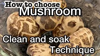 How to Clean Mushrooms to Avoid Any Speck of Dirt | Quick soaking Technique