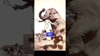 Photos you have never seen before 😳 #history #neverseenbefore  #brucelee