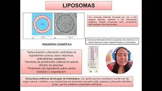 Vid 2 BioC