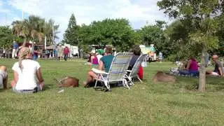 Promotional Video Production Sarasota Bay Water Festival 2013 | Traffic Flow Video