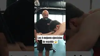 Top 4 ejercicios de espalda por Hany Rambod #gym #fitness #bodybuilding #espalda #powerlifting