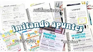 IMITANDO APUNTES saturados, minimalistas y 