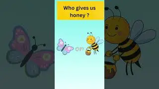 who gives us honey ?