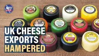 Uk Cheese Exports Hampered