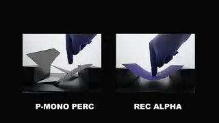 REC Alpha cell advantage bending comparison