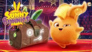 Sunny Bunnies - Magical Suitcase | Fun & Adventures Cartoon | Gumball | Kids Cartoon | Chotoonz tv