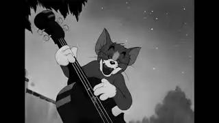 #moodset
