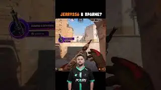смог бы сейчас тянуть уровень киберспорта? #cs2 #csgo #twitch #streamer #cs2moment #jerry256 #shorts