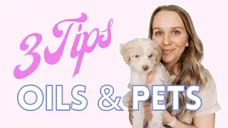 pets and essential oils - 3 tips