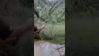 Mancingseru || #fishing #nature #angler #explore #trending #shorts #mancingseru