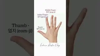 Finger's Names in KOREAN 🇰🇷 | Learn Korean | Easy Korean #koreangrammar #bodyparts #hangeul #hangul