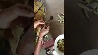 avaraikai cutting views.nsp.pollachi.
