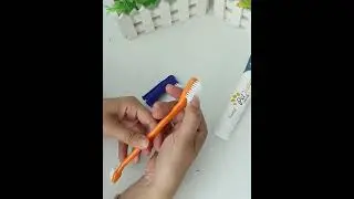 Renna's Dog Toothbrush And Toothpaste Per Toothbrush And Toothpaste Cat Toothbrush With Toothpaste