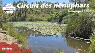 Circuit des nénuphars