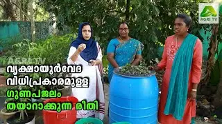 വൃക്ഷായുർവേദ വിധിപ്രകാരമുള്ള ഗുണപജലം തയാറാക്കുന്ന രീതി
