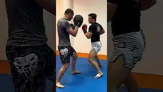 Ultimate Martial Arts Self Defense Training - Professor Peter Mettler BJJ Blackbelt MMA Pro Fighter