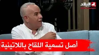رشيد يكشف سر اللقاح باللاتينية OR