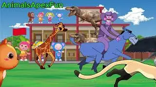 WILD Animal Stampede Caught on Camera?