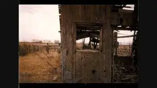 The Old Joe Clarks -  Old Joe's Stomp