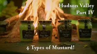 Mustard Expert describes 4 Different Types of Mustard from Maille!