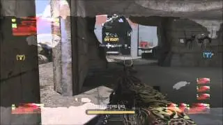 Ameli DNA Bomb on Defender w/royalty camo