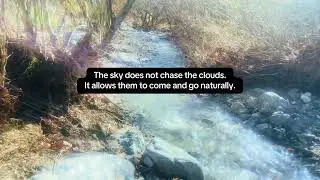 Calm the Mind | Let Go of Intrusive Thoughts, Release Worry & Stress