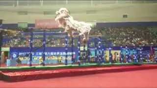 中華台北台灣培德體育會 at Yuanshen Sports Center Stadium