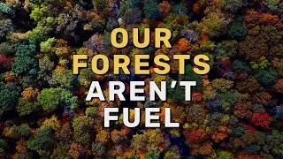 Tell EU Policymakers: Forests Aren't Fuel!