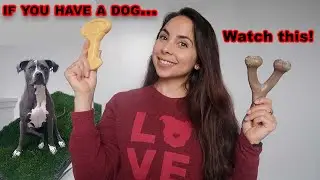 TOP 5 ITEMS EVERY DOG OWNER NEEDS!!!