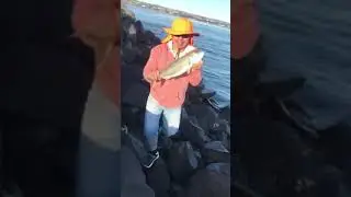 #big #fish #fishing # viral #shortvideo #inihaw