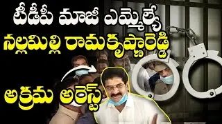 TDP Ex MLA Nallamilli Ramakrishna Reddy Arrested | YS Jagan | AP News | Leo News