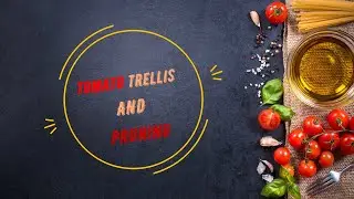 Выращивание томатов | Шпалера томато | Обрезка томато |#7