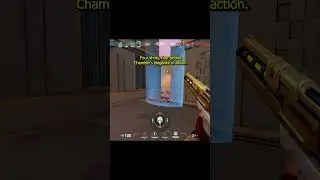 Four shots, four bodies &ndash; Chamber&rsquo;s elegance in action.