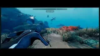 Beyond Blue - First Two Days of Exploration (PC 4K Ultrawide)