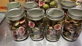 Freeze Dried Figs from the Deep Freezer Harvest 2021