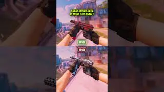 95% of Players FAIL This CS2 Skin Quiz! 🤑 Which is More Expensive?