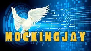 Who Mocks The Mockingjay - A Hunger Games Analysis
