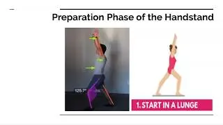 Biomechanics of the Handstand
