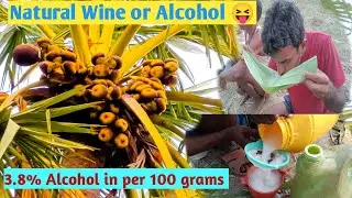Trying Natural Wine and Alcohol of Asia | Juice Of Toddy Palm #vlog #2022vlog #bihar