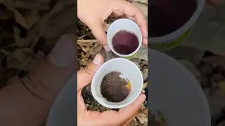 Survival Skills | Camping Hacks Tea Strain #camping #campfire #lifehacks #bushcraft #survivalskills