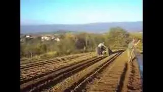 JAGODE PEJKOVIĆ izrada gredica