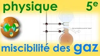 Miscibilit&eacute; des gaz | Physique-Chimie | Coll&egrave;ge 5e