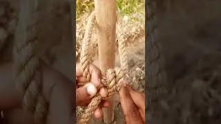 Easy Knot Best trick #knotskill #knot #gtknot #rope #ropeknot #camping #climbing #2025 #knotting