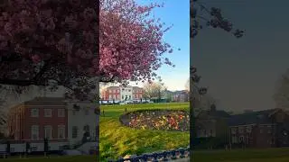 Blush of spring💕 #shorts #viralvideo #uk #spring #travel